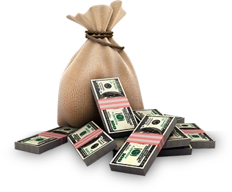 zcode money bag